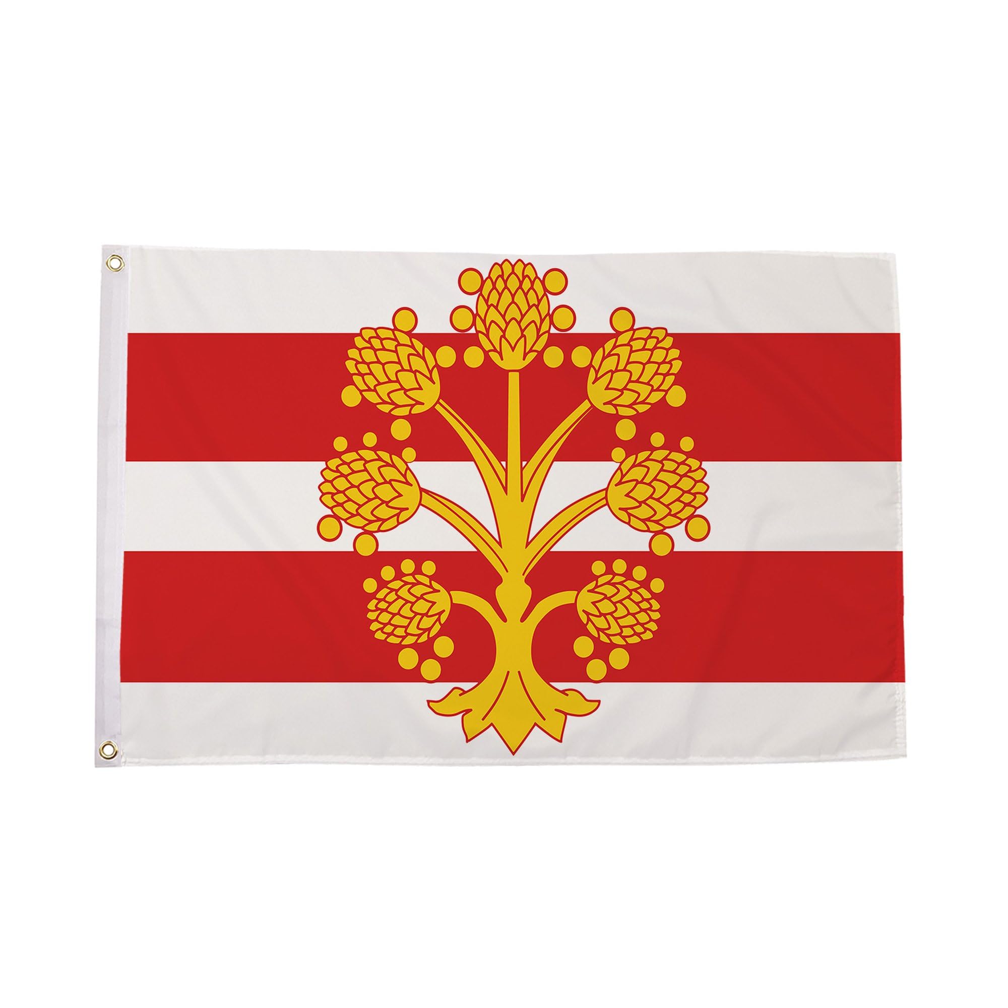 Devon Small Flag 3ft x 2ft (90cm x 60cm) — view 77