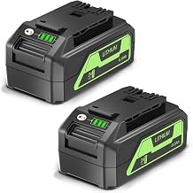 EOTTK 2-Pack 6.0Ah USB Batteries Replacement for Greenworks 24V Battery BAG709 BAG708 LB24A020 LB24A040