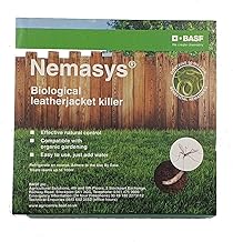 Nemasys leatherjacket killer (100sqm pack)