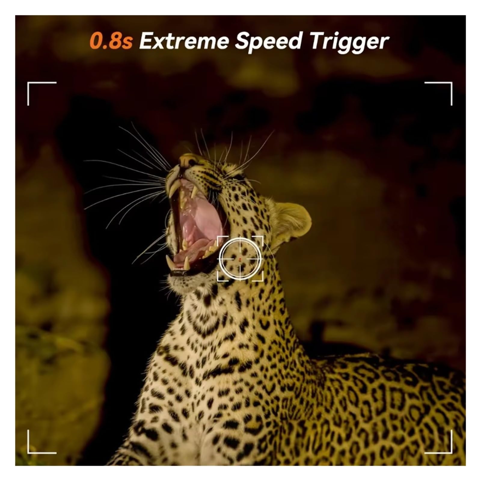 Kamera Myśliwska Dziki Noktowizor Na Podczerwień Outdoor Motion Trail Game Cam Aktywowana Śledząca Fotopułapka Wild Surveillance WyraźNe Obrazy I Filmy