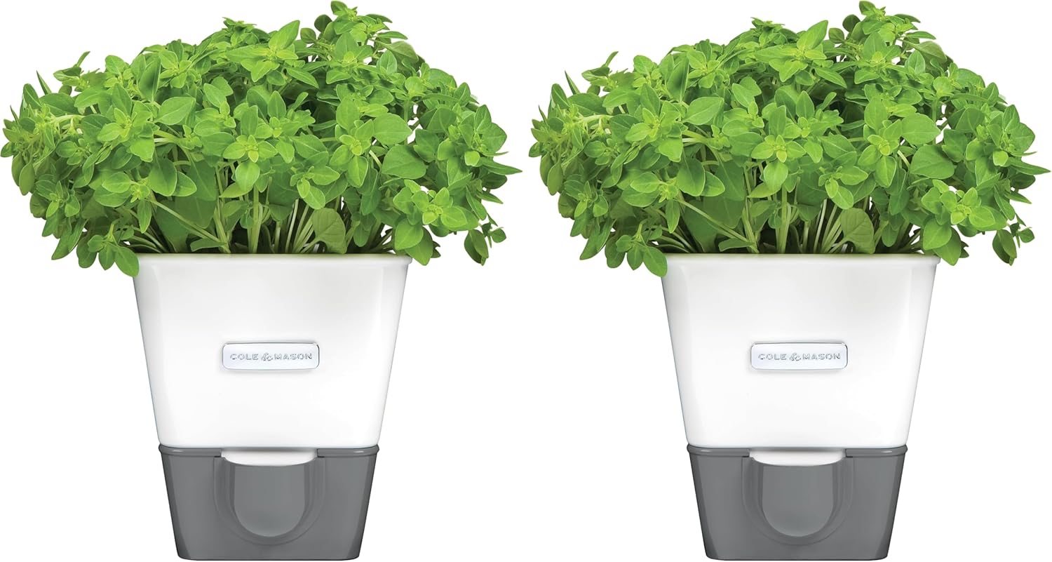 Cole & Mason Self-Water Herb Keeper - Potted Herb Saver with Hydro Pad & Pour Spout - Fresh Herb Keeper for Refrigerator - Herb Storage & Container (Pack of 2)