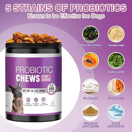 Miniatura 3 de Probióticos para perros Salud digestiva Salud intestinal para picazón en la piel Probióticos para perros para la diarrea Alivio de gases para perros