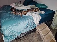 Review Image by Sandy Sconce Sandy Sconce