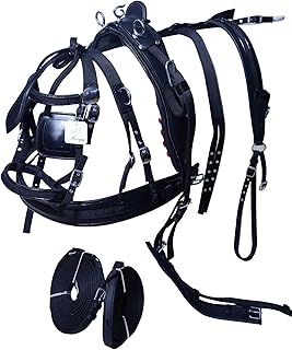 Harnais de conduite en nylon pour cheval Noir Taille complète