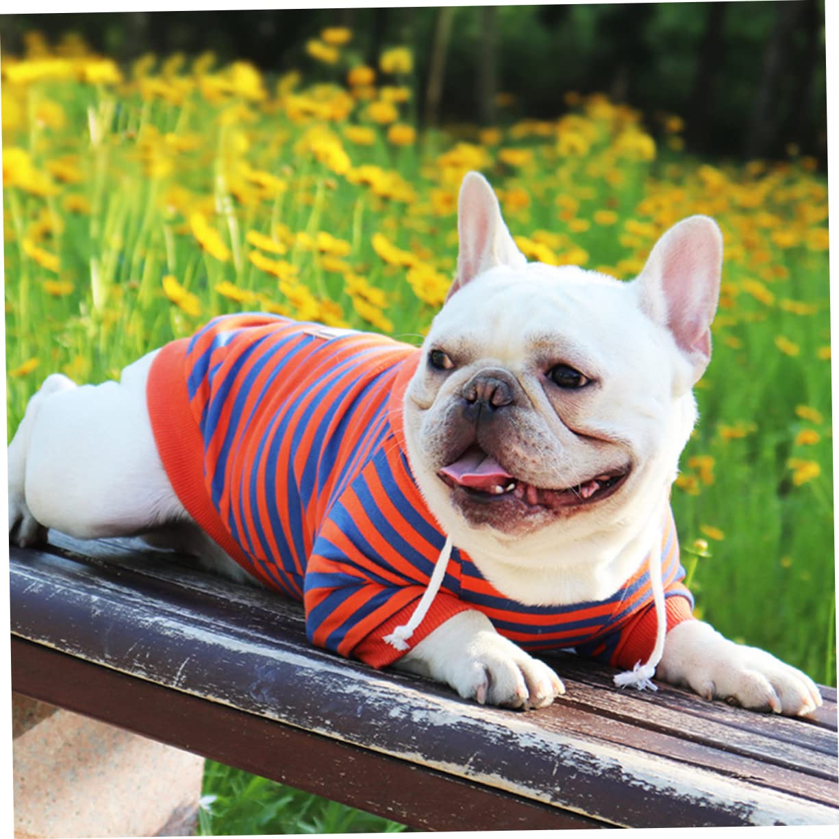 Beaupretty 3piezas Camisa Rayas para Perros Pequeños Pijama Transpirable De Algodón Ropa De Mascota para Ocasiones Especiales y Actividades Al Aire