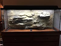 Review Image by DanaLynn DanaLynn