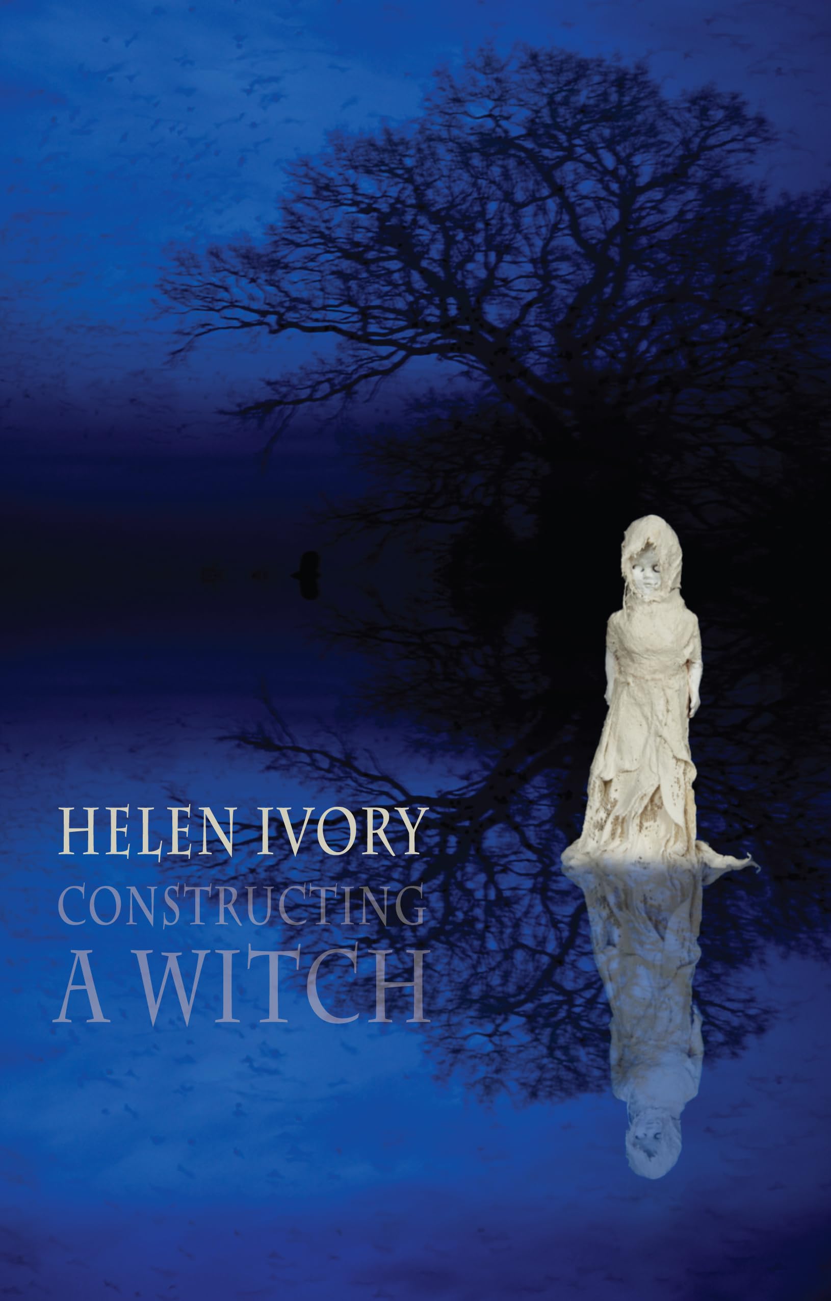 Constructing a Witch, Ivory, Helen, New condition, Book