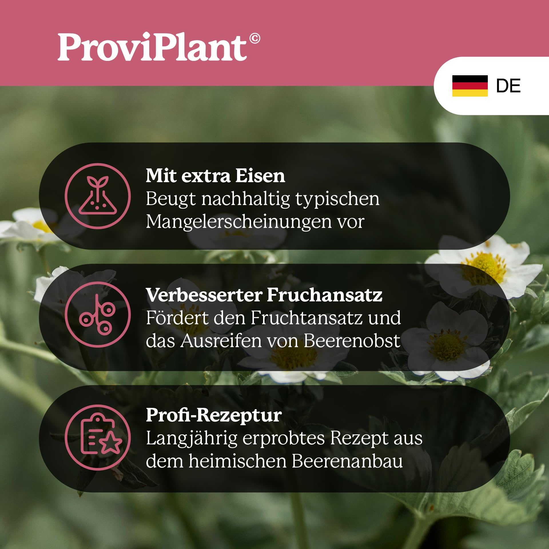 Fertilizzante liquido per frutta alle bacche – Per fragole, lamponi, mirtilli & Co – 1 litro concentrato per fino a 200 litri di acqua – Serra e aiuole – Made in Germany