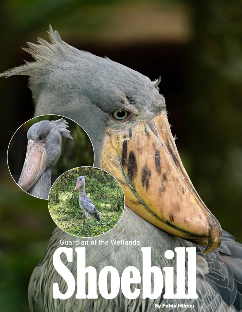 Shoebill: A Visual Journey with Fascinating Facts About the Guardian of the Wetlands (Coffee table nature book)