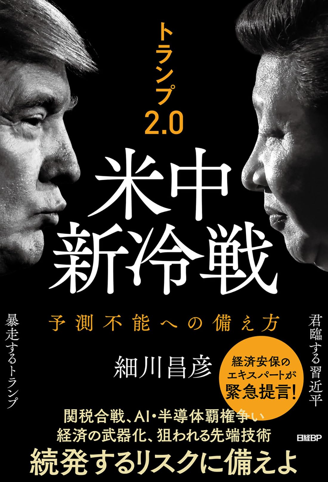 Amazon.co.jp: トランプ2.0 米中新冷戦 予測不能への備え方