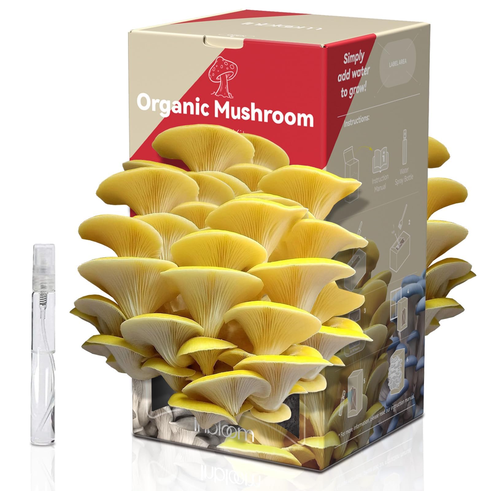 inbloom Large Organic Golden Oyster Mushroom Growing Kit, Beginner-Friendly Yellow Mushroom Grow Kit, MD USA Non-GMO Mushroom Kit, Harvest Mushrooms in 10 Days at Home
