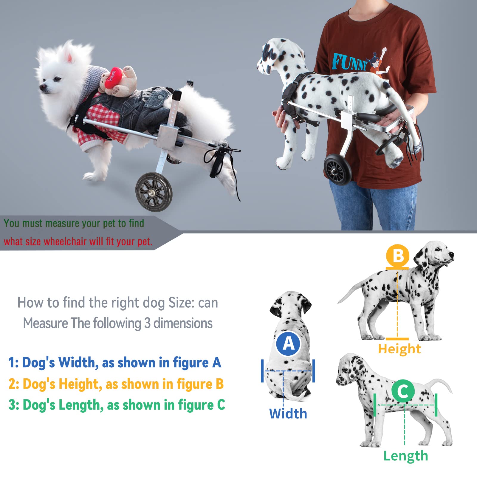 How Do I Measure My Dog For A Wheelchair