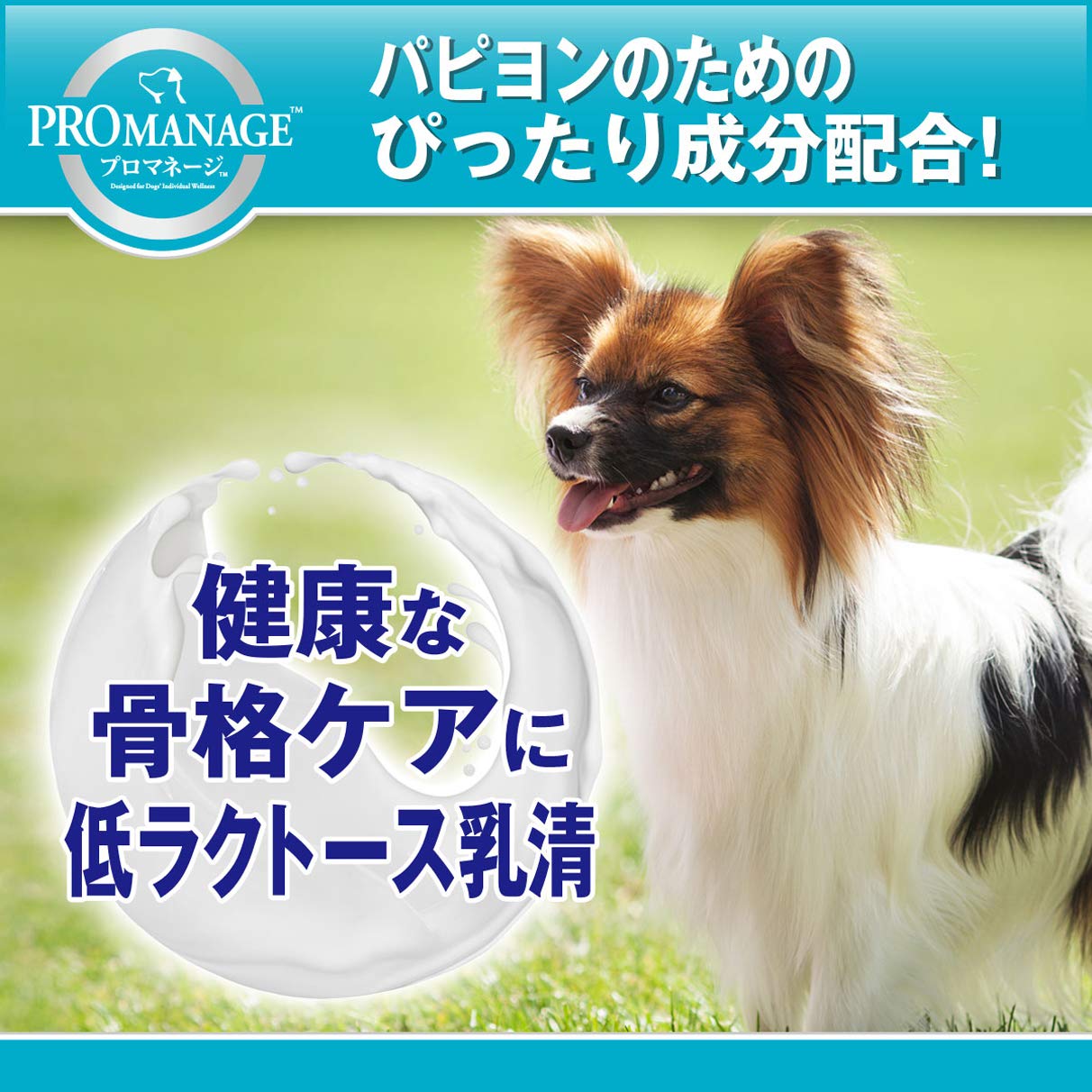 Amazon.co.jp: プロマネージ ドッグフード 成犬用 パピヨン専用 1.7 