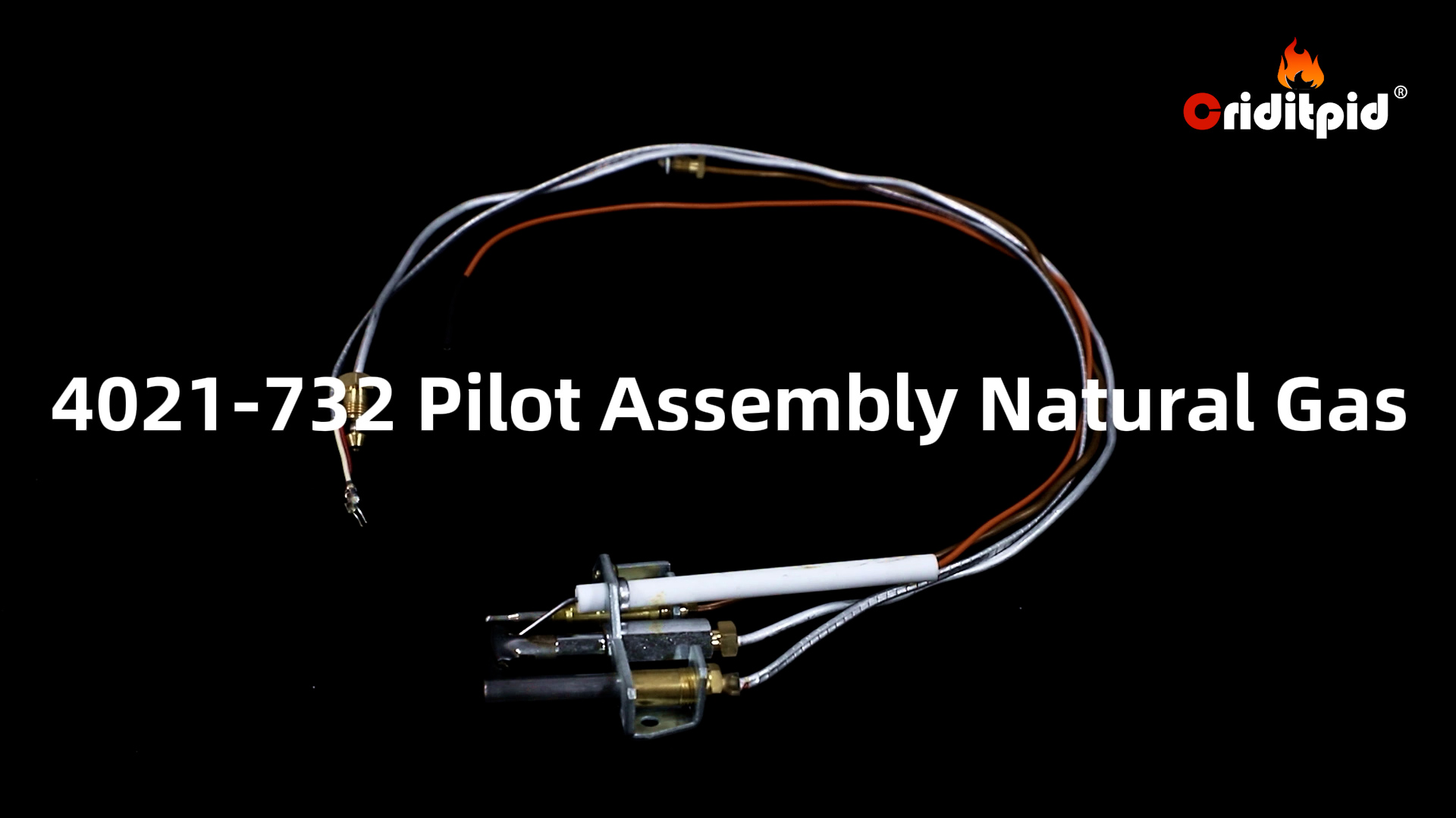Amazon.com: Criditpid 4021-732 Natural Gas (NG) Pilot Assembly for