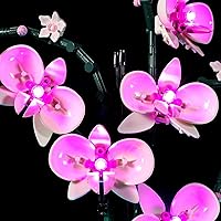 Vista 5 de BRIKSMAX Kit de iluminación LED para LEGO-10311 Orquídea - Compatible con modelo de bloques de construcción Lego Creator Expert - No incluye