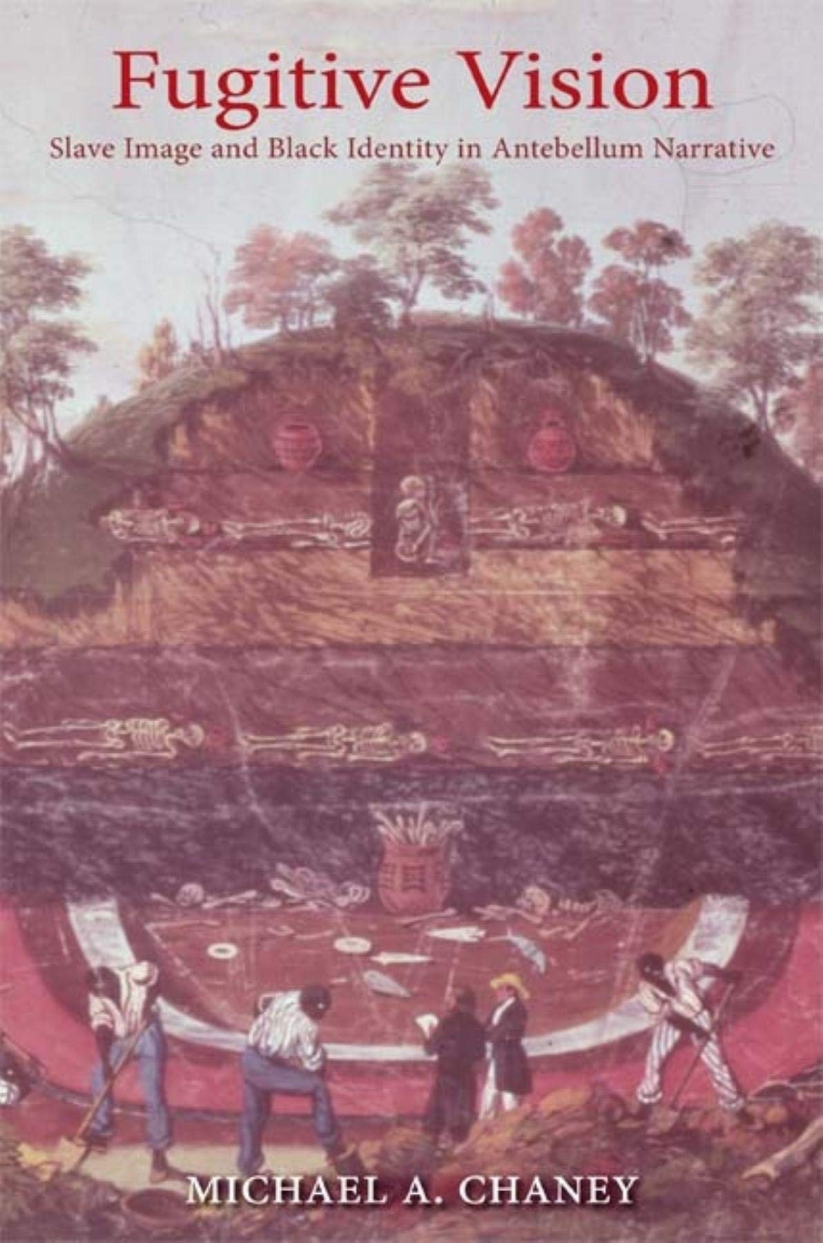 Fugitive Vision: Slave Image and Black Identity in Antebellum Narrative