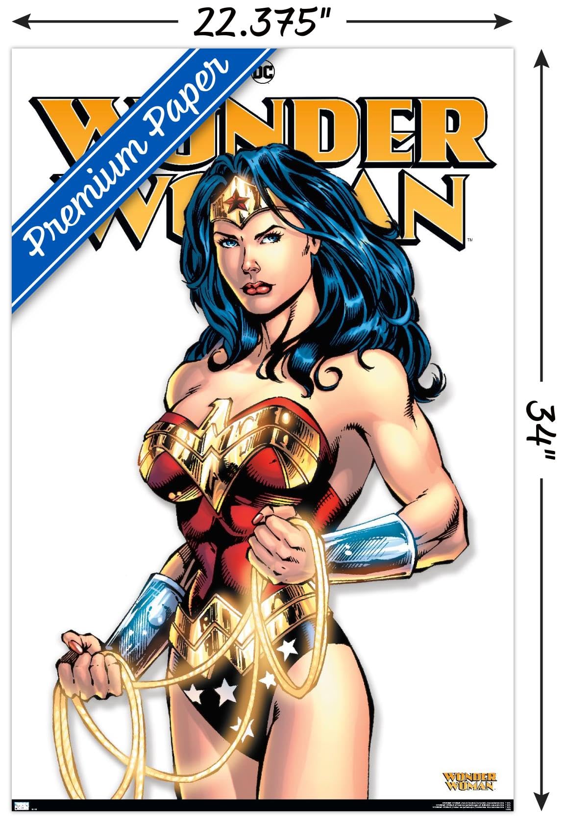 DC Comics - Wonder Woman Feature Series Wall Poster : Amazon.ca: Home