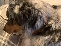 Review Image by Crystal M Crystal M