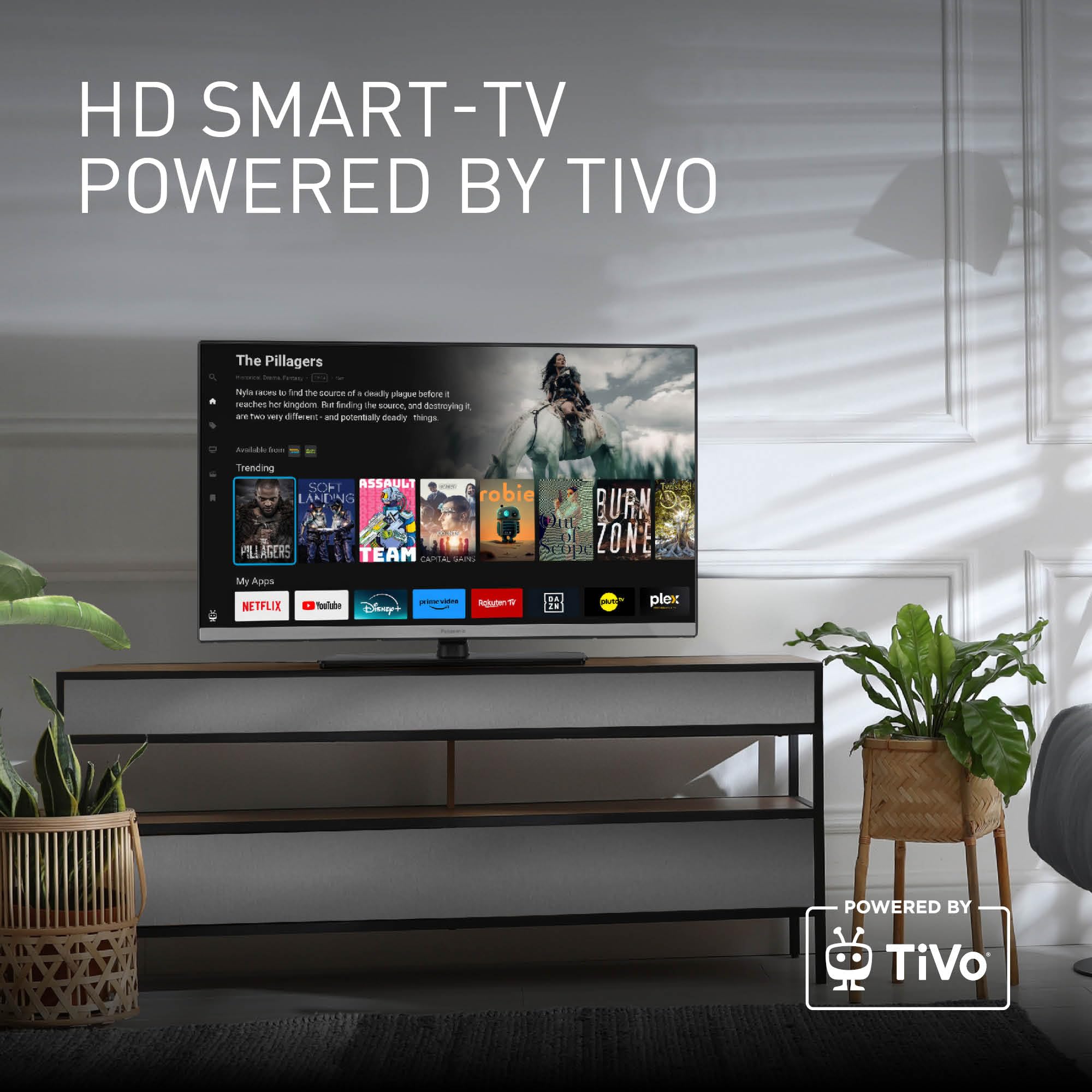 Panasonic TB-24S40AEZC, 24 Zoll Fernseher HD LED TV, TiVo | Google-und Alexa-Sprachsteuerung, Gaming-Modus, Media Player, HDR, HDMI, WLAN, Smart TV, S40 Serie