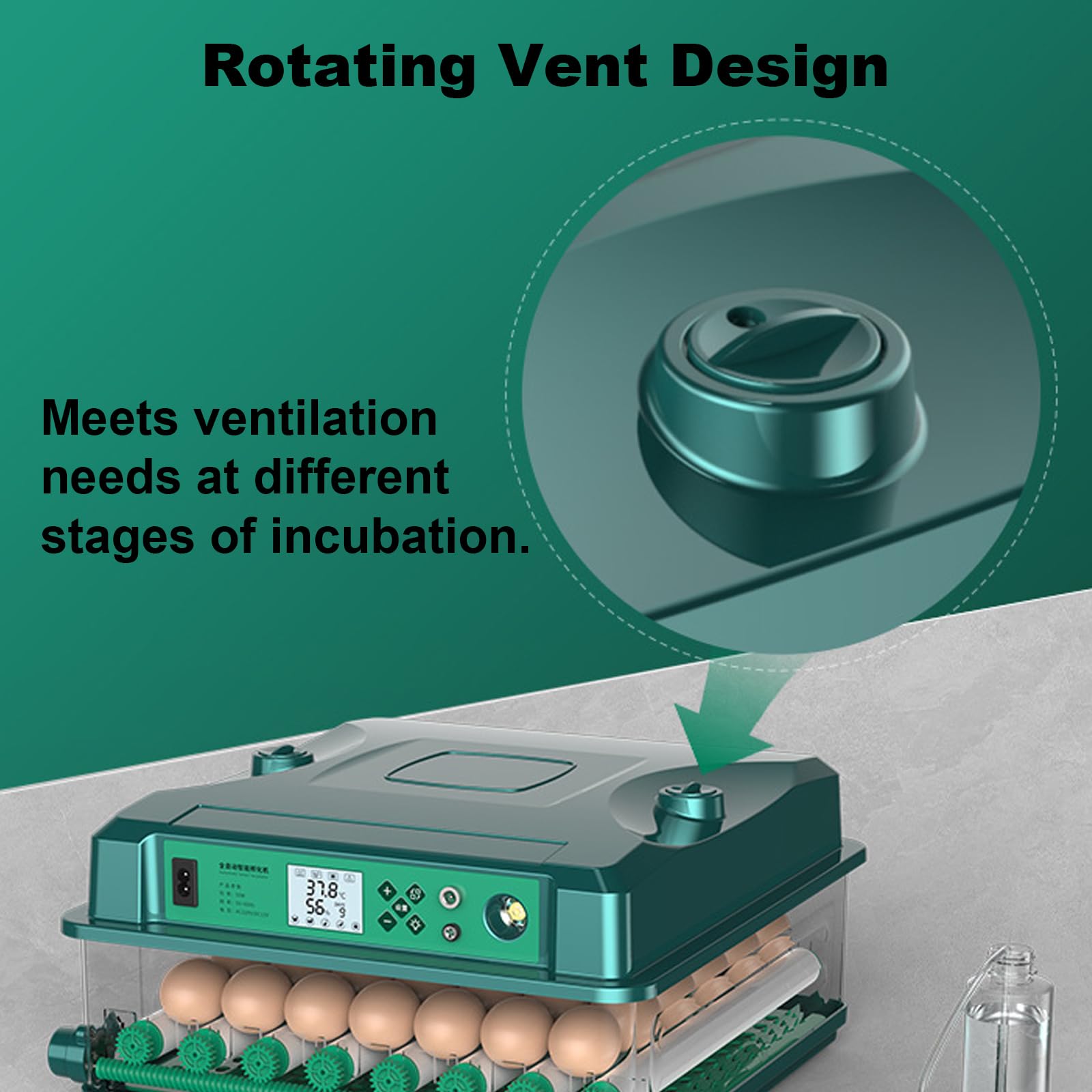 Incubadora automática de huevos, incubadora digital de aves de corral con control de temperatura y humedad para pollos, gansos, patos, palomas y codornices