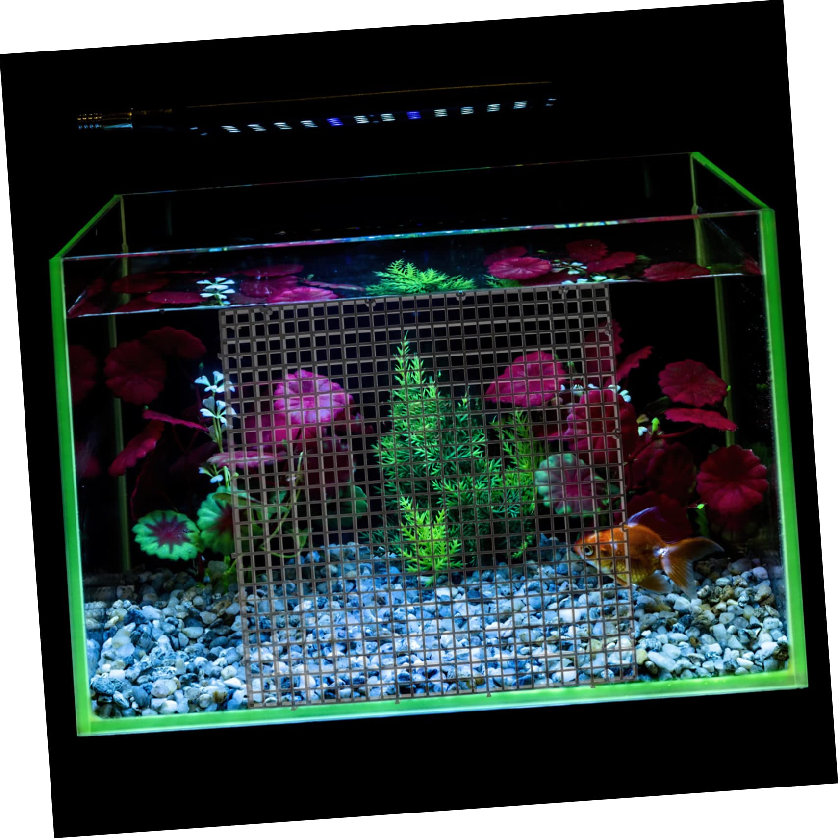 Angoily 1ensemble Plaques De Séparation pour Aquarium Isolante pour Répartition des Poissons Accessoire Pratique pour Aquariums avec Ventouses Noires