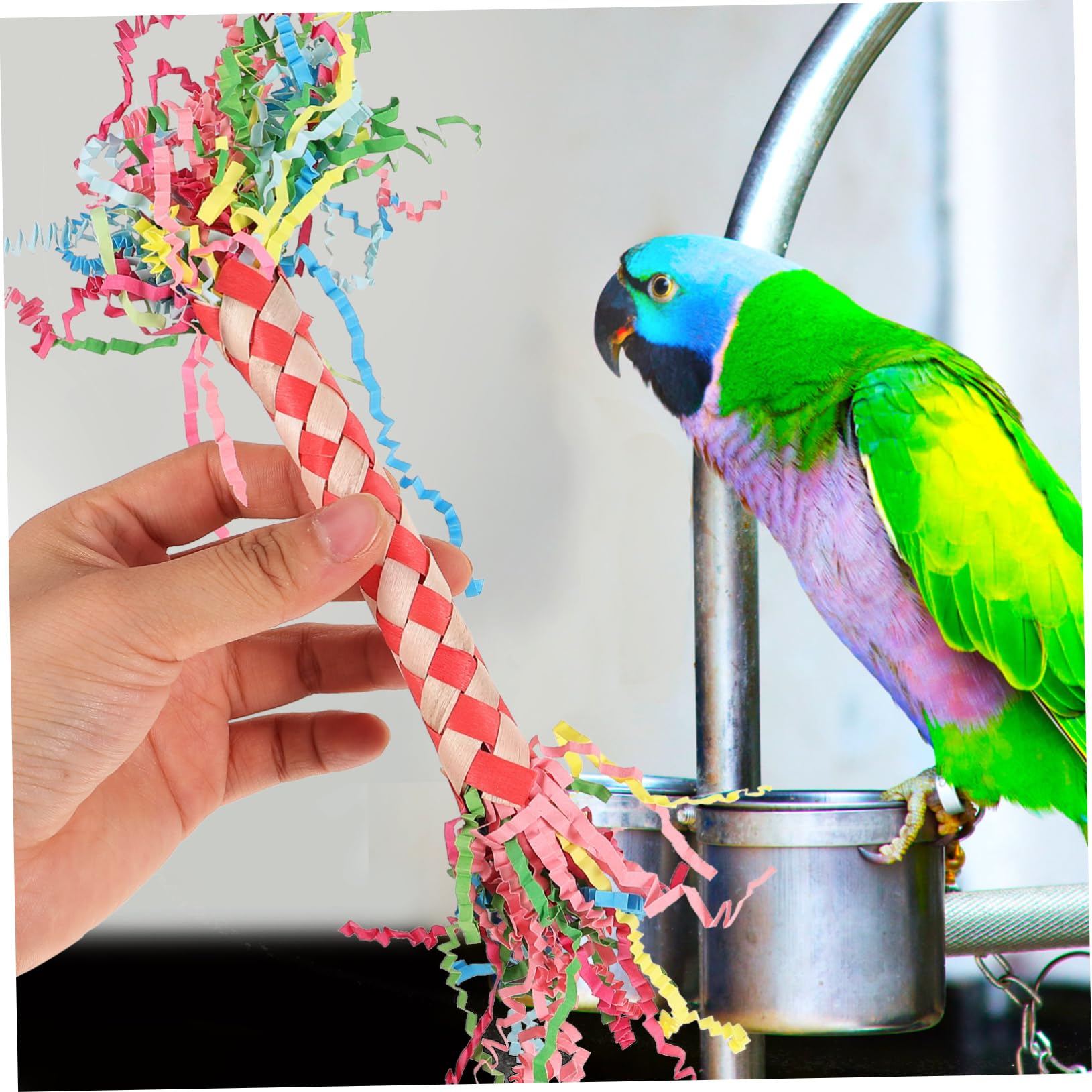 Hohopeti 3pièces Jouets Colorés pour Perroquets Et Oiseaux Accessoires à Mâcher Explorer pour Cage à Oiseaux Jouets Sains Et Amusants