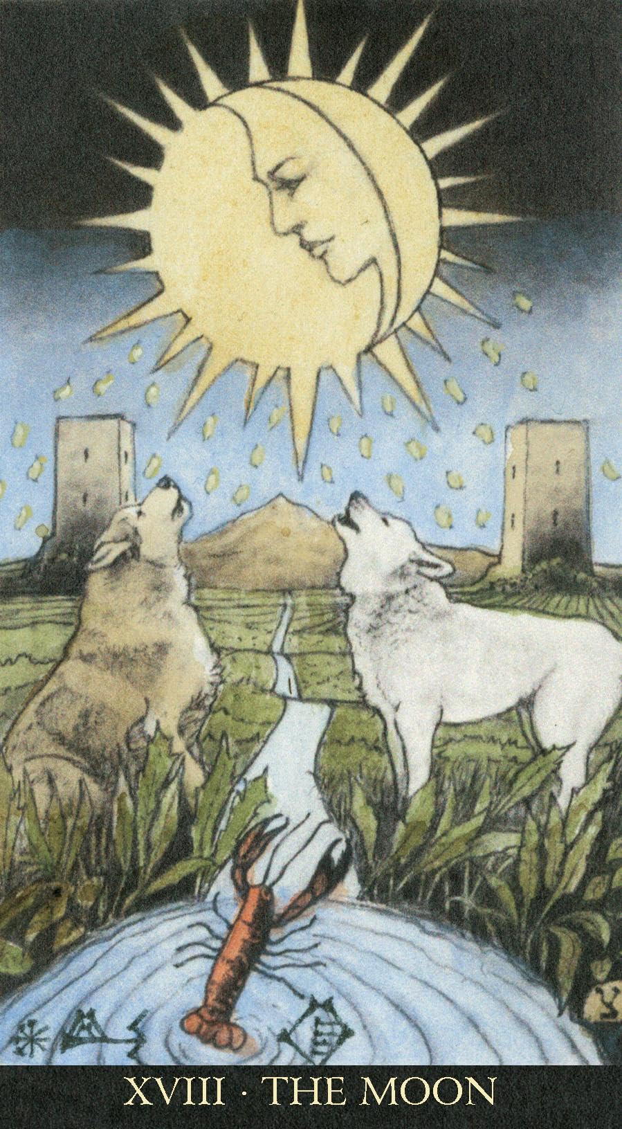 The soul seeker tarot. Con Libro in brossura