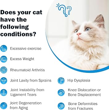 Joint Supplement for Cats - Glucosamine & Chondroitin Drops - Arthritis Relief for Senior Cats - Hip & Joint Care for Indoor Cat - Cat Supplements & Vitamins - 59ML