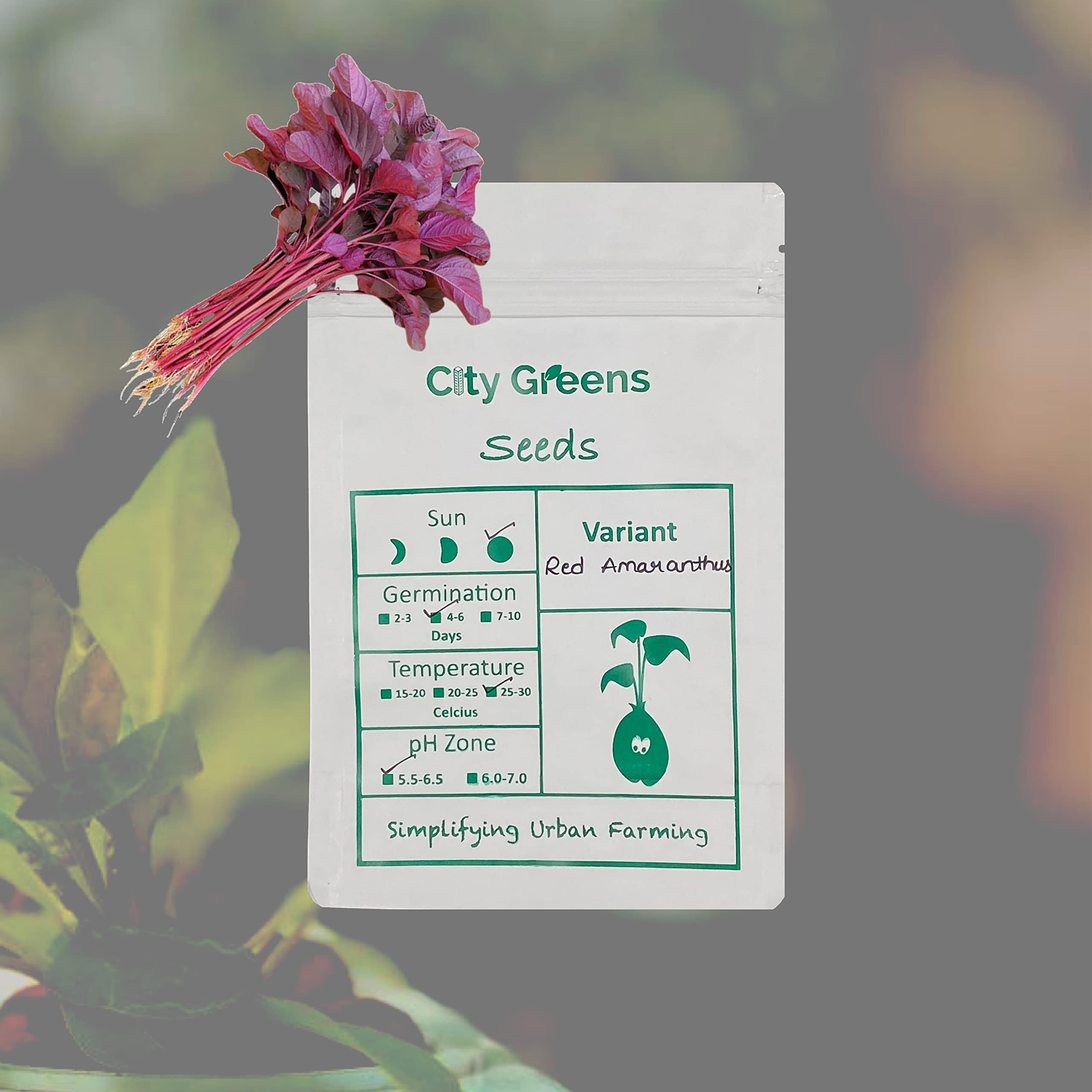City Greens Red Amaranth | Thotakura | Cholai | Vegetable Seeds - 10Gms (Approx - 7000 Seeds). (B08JLS6W6G) Amazon Price History, Amazon Price Tracker