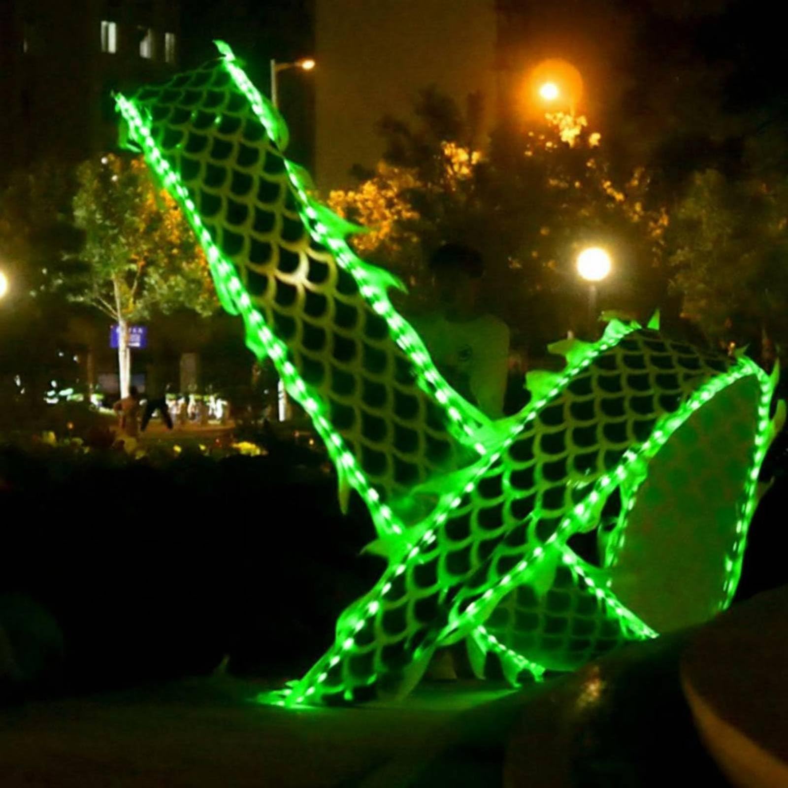 LED Dragon Poi, Drachenband mit Kopf, Wu Long für Outdoor Park | Flinging Wu Long Streamer, 3D-Drachenband-Streamer mit Lichtern für Erwachsene, Senioren, Aufführung, Fitness