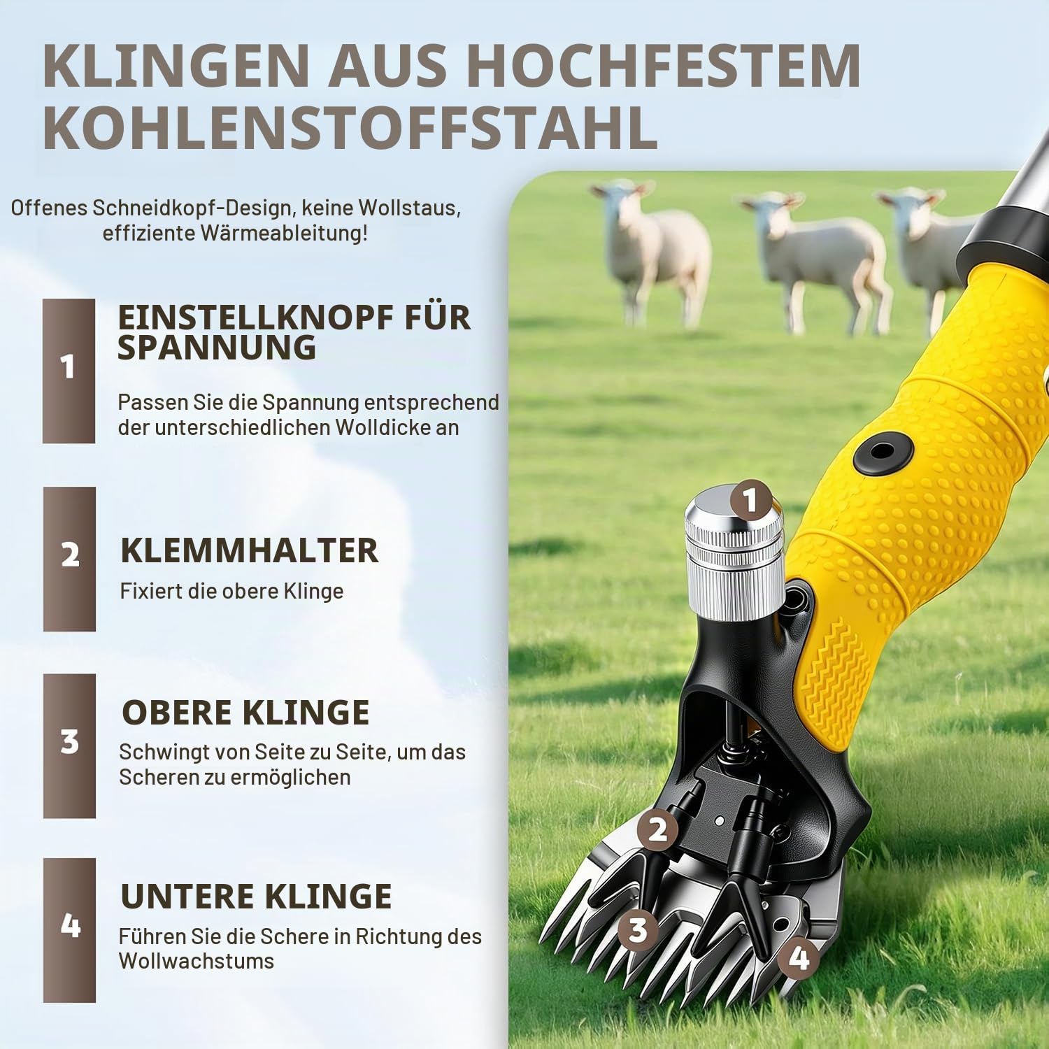 CGOLDENWALL Professionelle Schafschere 850W, 6-Stufen, Ziegen
