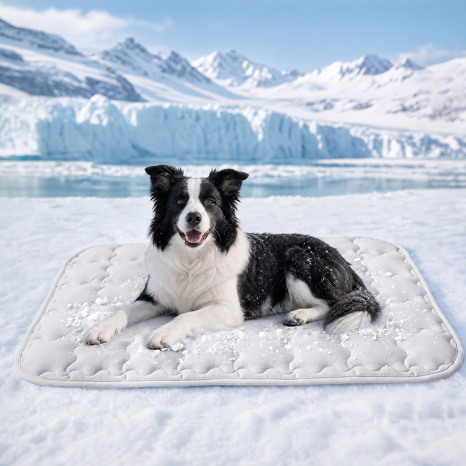 Luciphia Premium Dog Cooling Mat Non-Slip Q-MAX>0.5 Self-Cooling Pad for Large Pet Indoor Portable Kennel Puppy Bed for Couch Summer Crate Pad for Dog Washable Light Grey 40x60 inches