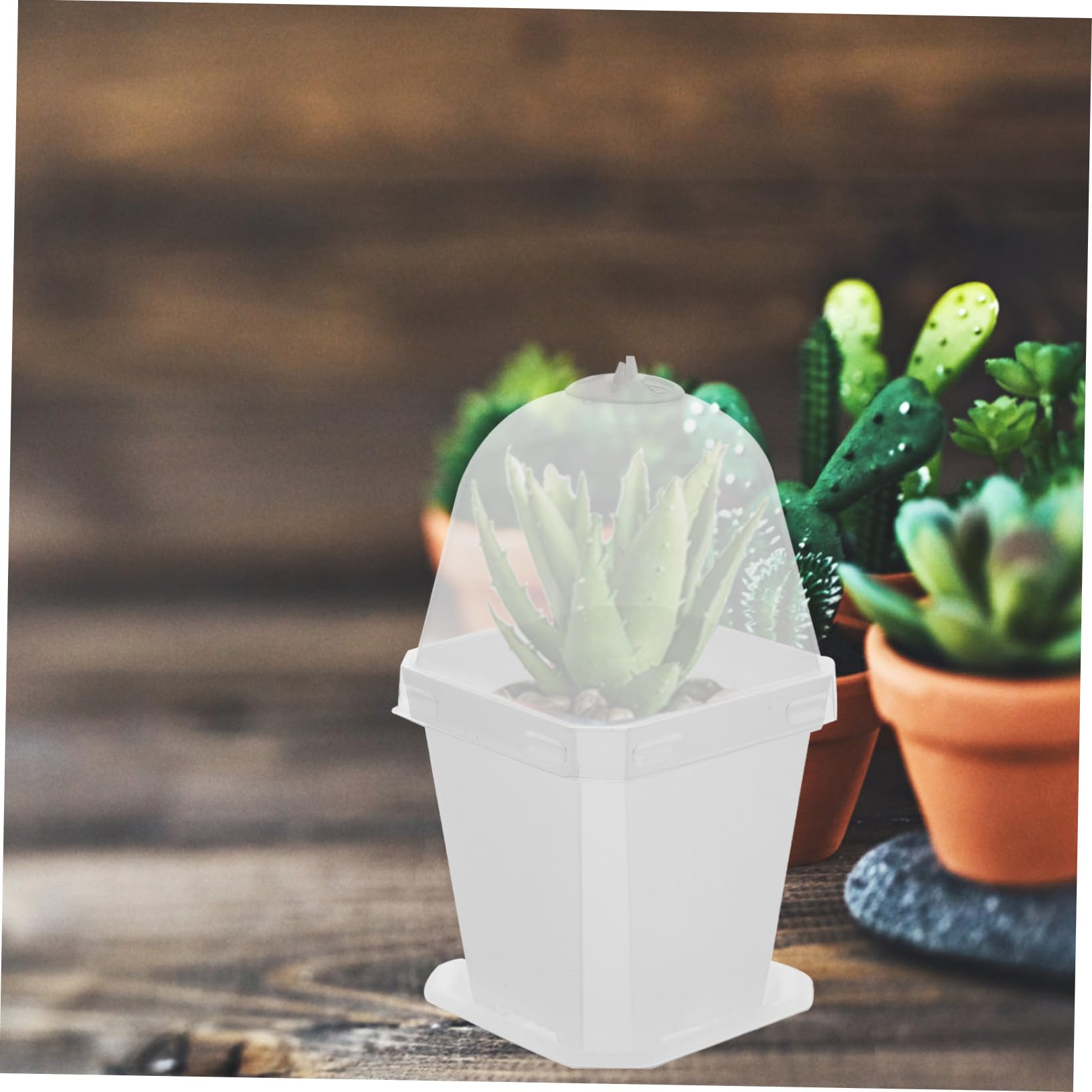 Happyyami 10 Piezas Macetas de Plástico con Tapa y Drenaje Contenedores para Jardín Macetas Transparentes para y Verduras