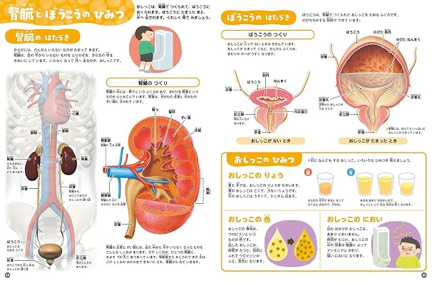 からだのしくみ図鑑 めくって学べる