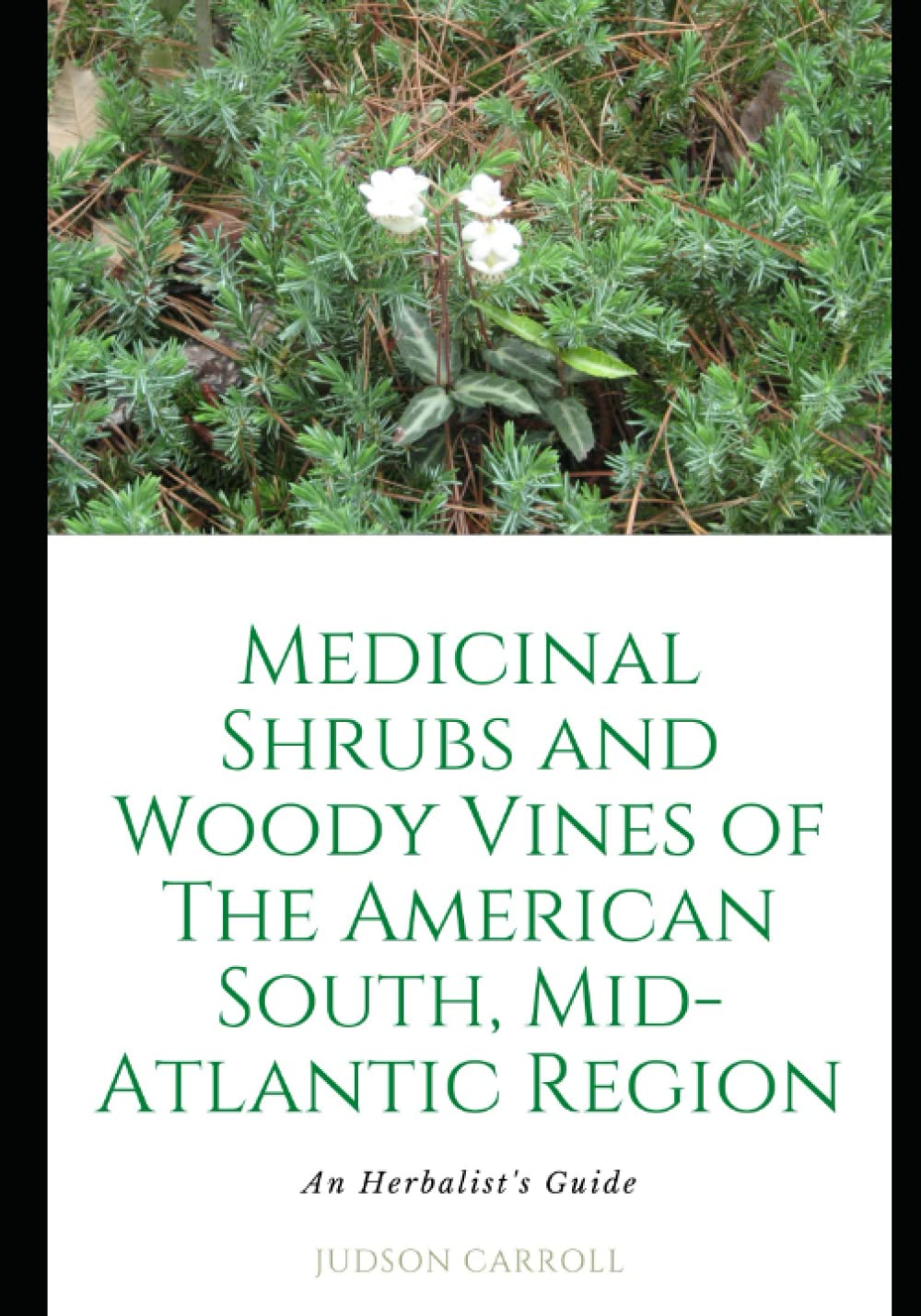 Medicinal Shrubs and Woody Vines of The American Southeast: An Herbalist's Guide (Medicinal Plants of The American Southeast)