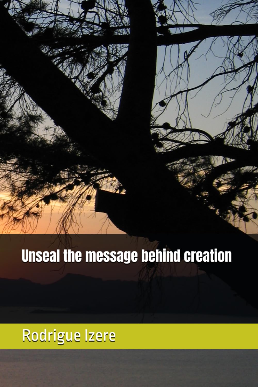 Unseal the message behind creation
