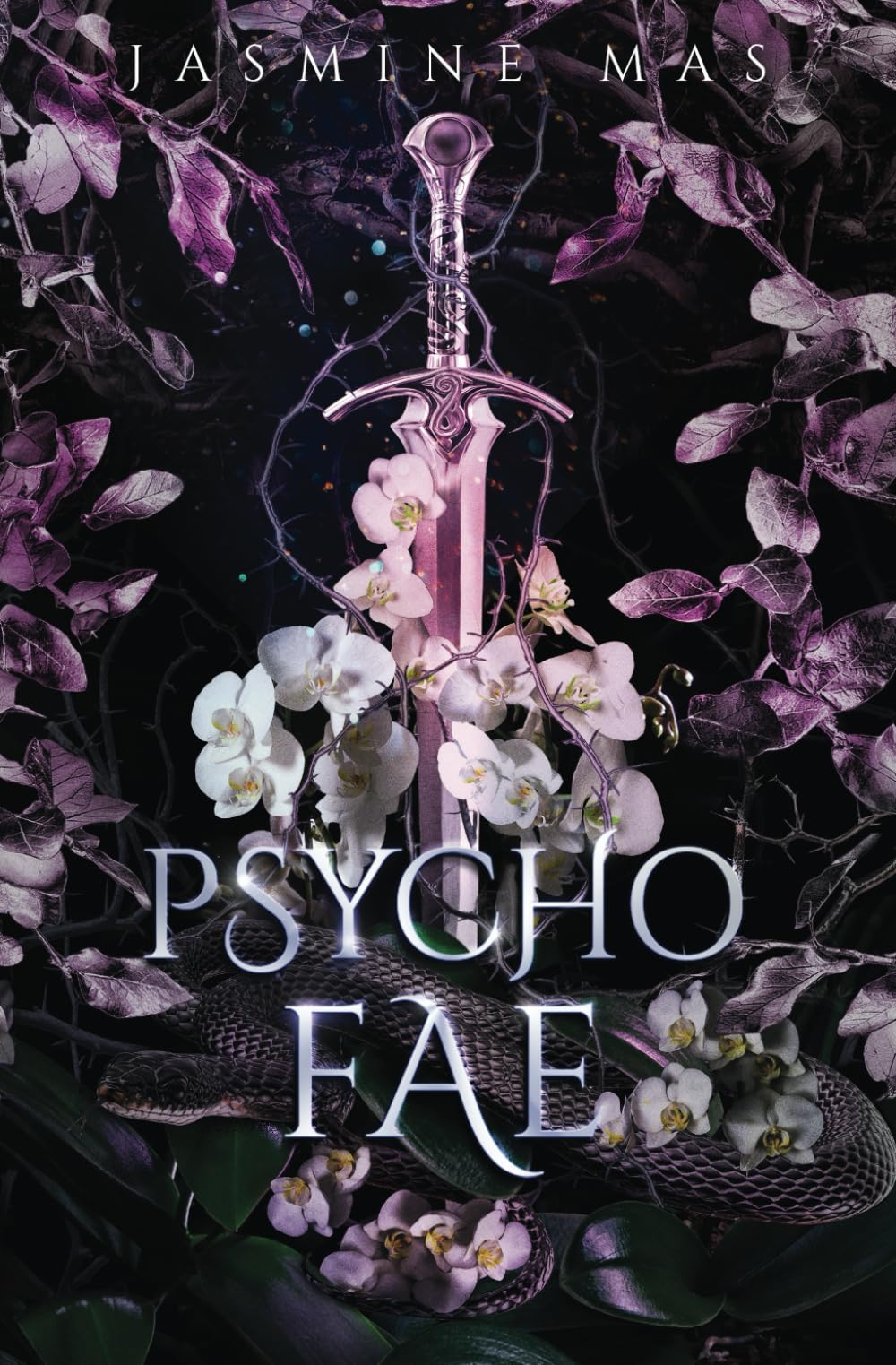 Psycho Fae: Enemies to Lovers Romance (Cruel Shifterverse) Paperback – 25 May 2022