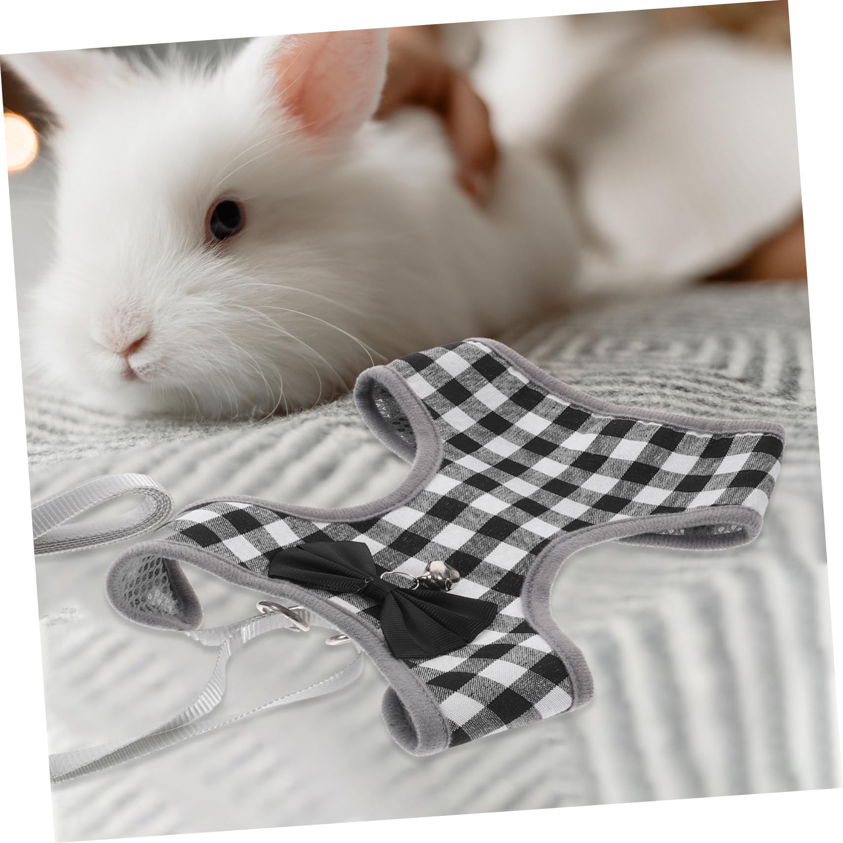 Beavorty 5sätze Süße Kaninchenkleidung Verstellbares Geschirr Mit Bunny-kostüm Für Kleine Haustiere Für Und Besondere Anlässe Atmungsaktiv Und