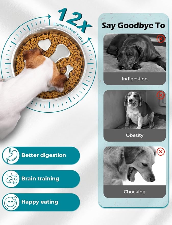 Comedero para Perros y Gatos Acero Inoxidable 1 Unidad miniatura 4