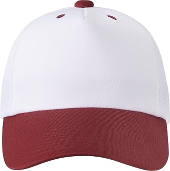 DESCENTE Mens, White/Wine red, L