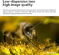 Vista 9 de TTArtisan Lente Macro APS-C de 1.575 in F/2.8 MFT M43 Montaje EPM1 EPM2 EPL1 EPL9 E-P6 E-M1 E-M5 E-M10II E-M10II E-M10IIII Pen-F G1 G7 G85 GF1 GF2