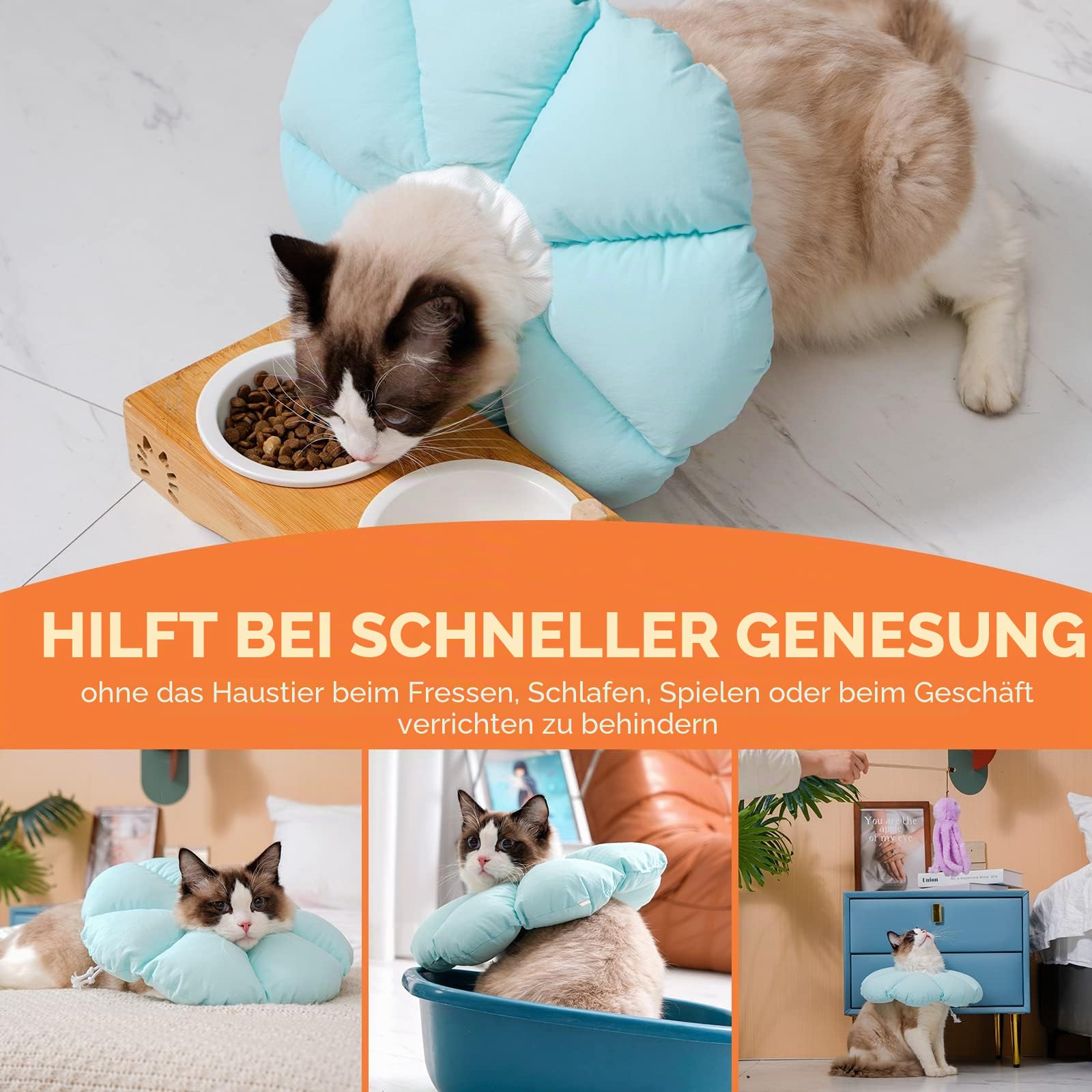 Avont Halskrause Katze, Einstellbar Halsband Weich Halskragen Cat Leckschutz Kragen für Klein Hund Nach Operation Schutzkragen -M|Blau