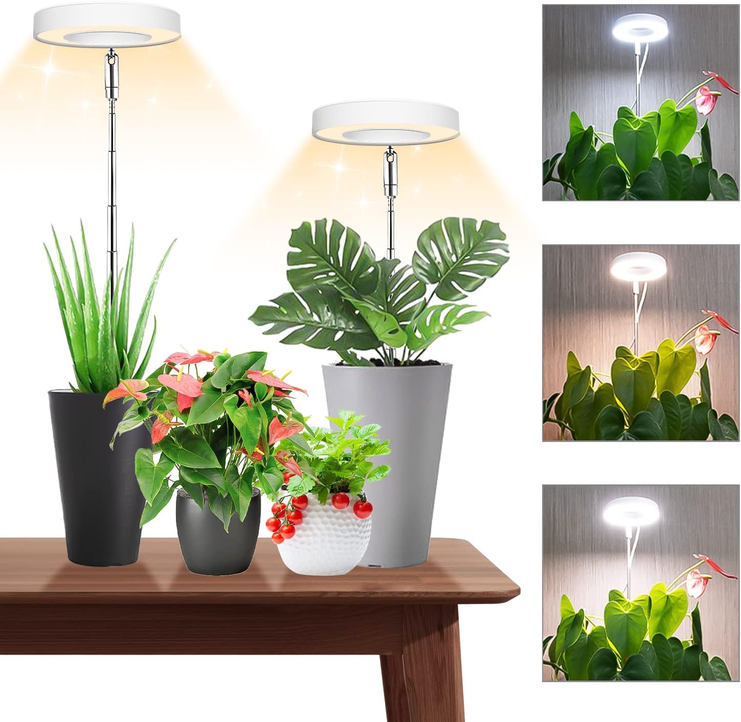 Amazon.com : LED Plant Grow Lights, Full Spectrum Halo Plant Light for ...