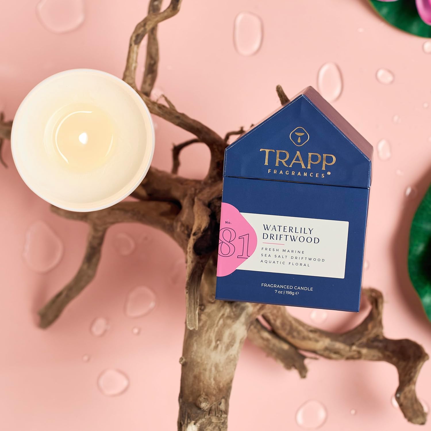 Trapp - No. 81 Waterlily Driftwood - 7 oz. House Box Candle - Aromatic Home Fragrance with Fresh Scent of Fresh Marine, Sea Salt Driftwood, & Aquatic Floral Notes - Petrolatum Wax