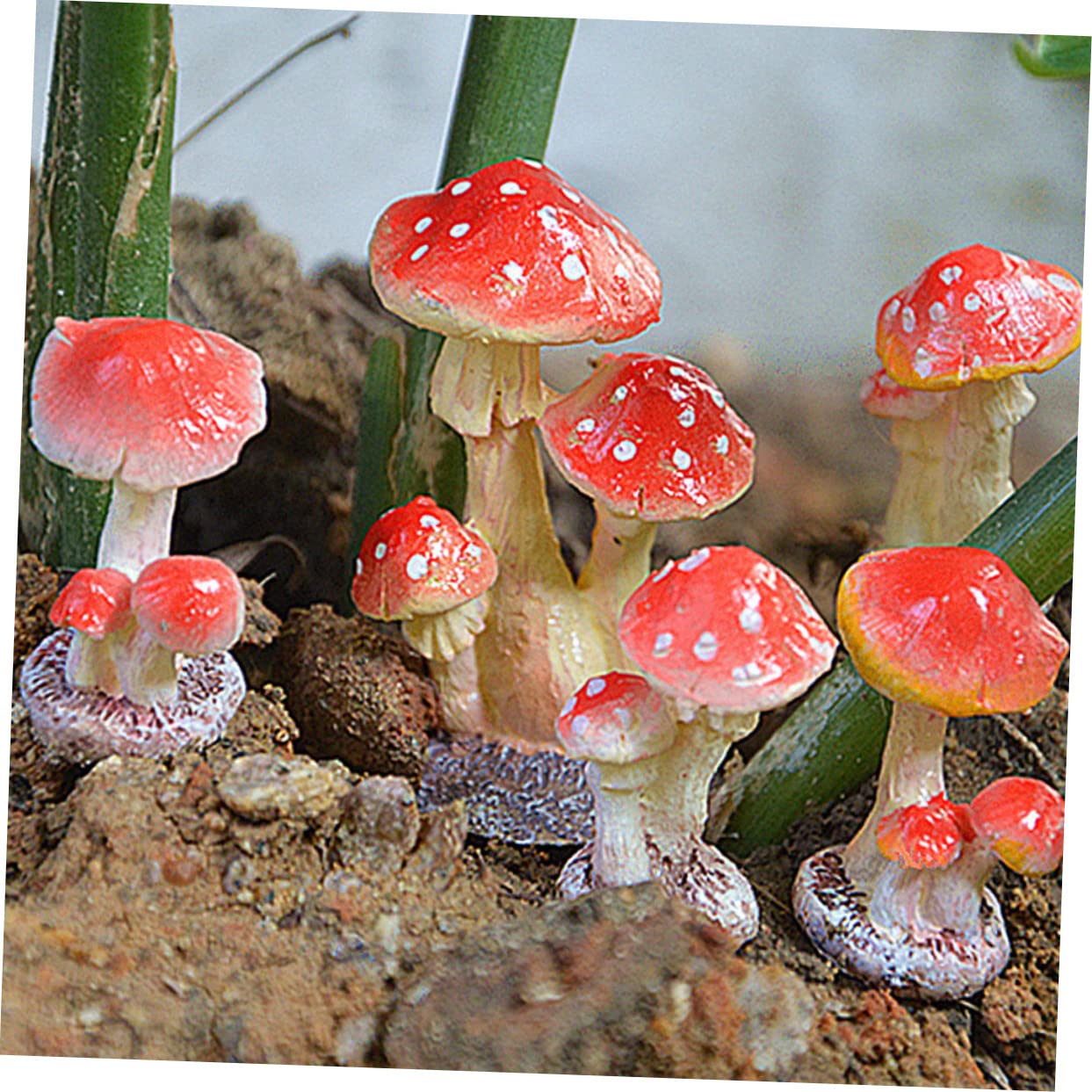 FORME POLISTIROLO PIANTE Miniatura Funghi Giardino Polistirolo Funghi Giardino Polistirolo Funghi 355241943100 FORME POLISTIROLO PIANTE Miniatura Funghi Giardino Polistirolo Funghi Giardino Polistirolo Funghi 355241943100