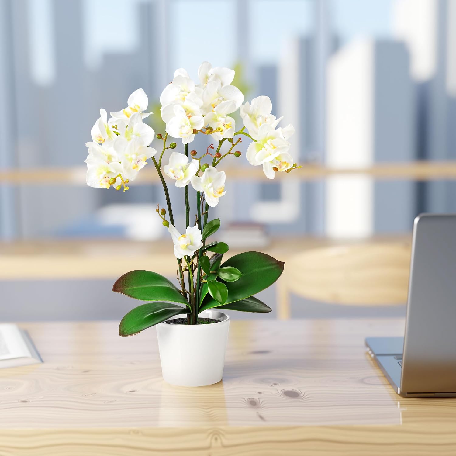 PASCH Orchideen knstlich in Jordan | Ubuy