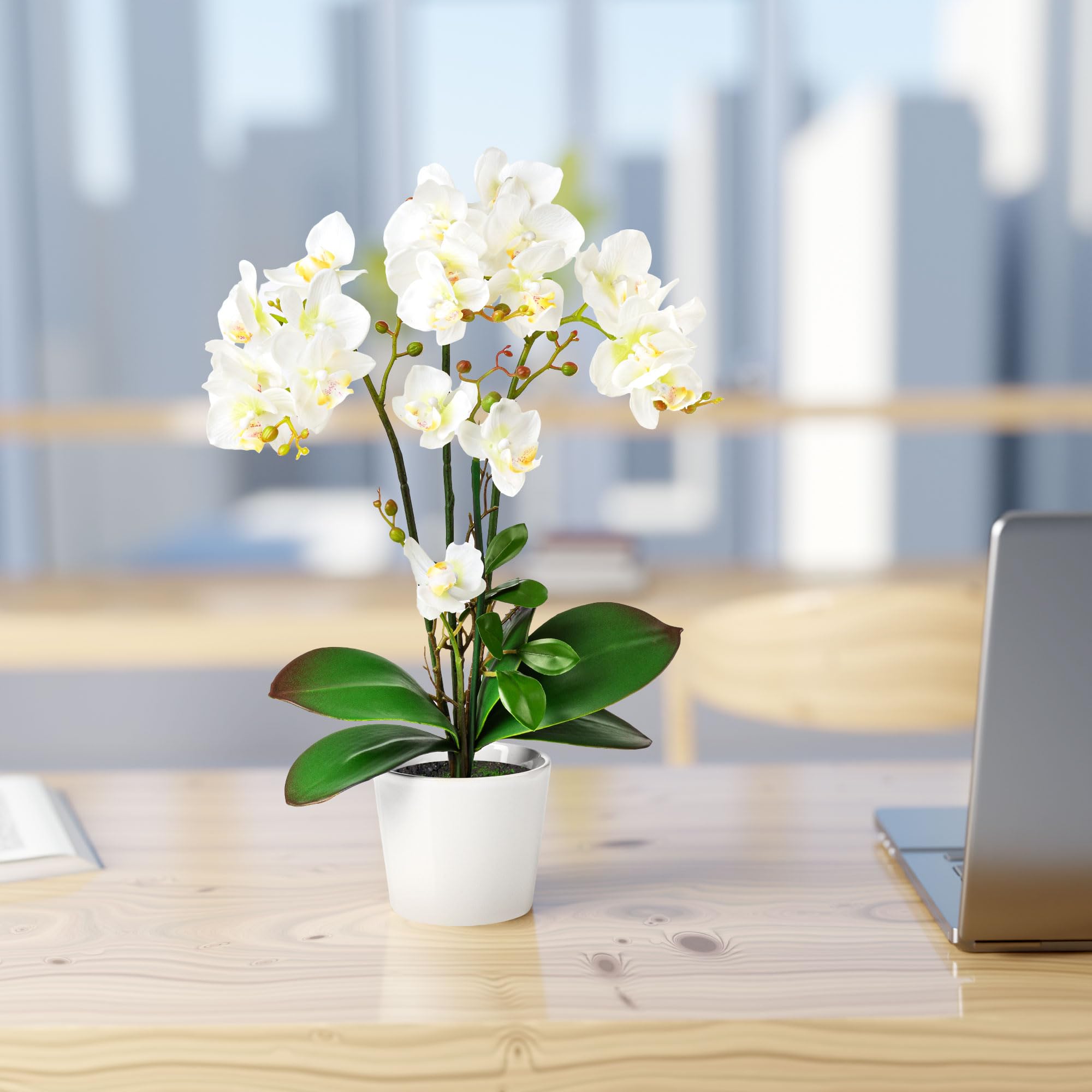 PASCH® Orchidées Artificielles Dans Des Pots en Céramique Brillante (46 cm) | Fleurs en Pot (Blanc)
