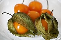 Vista 9 de Semillas Verduras Molidas Cereza Physalis Naranja (Fresa) - 200 Semillas