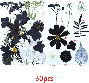 Cayway 2 Pack Dried Pressed Flowers for Resin Molds, Black Real Pressed Flowers Dry Leaves Kit Natural Dried Pressed Leaves for Art Crafts Resin Scrapbook Supplies Soap Candle DIY, Style C