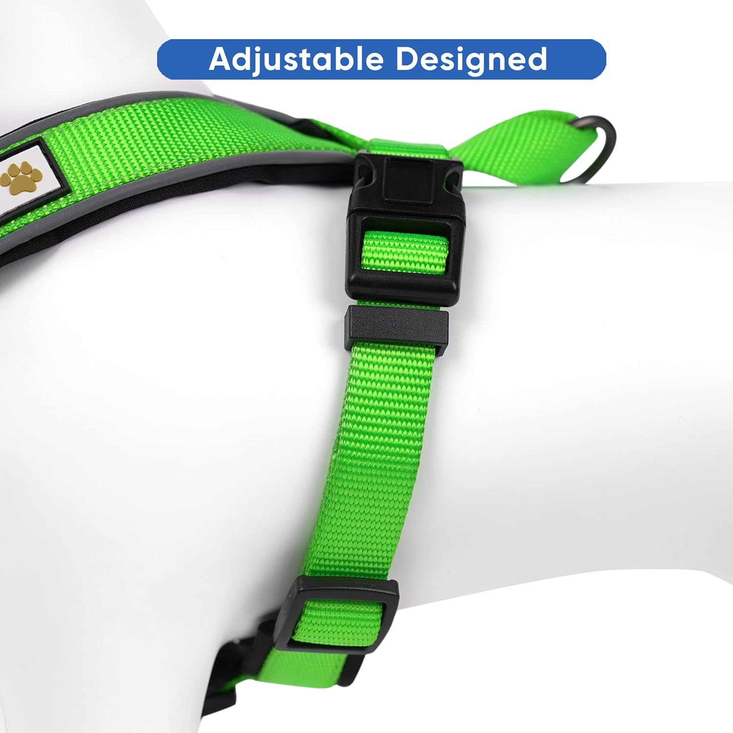 Pawtitas Value Bundle Set | Extra Small Padded Dog Harness + Extra Small Padded Dog Collar + Extra Small Padded Leash - Green Set